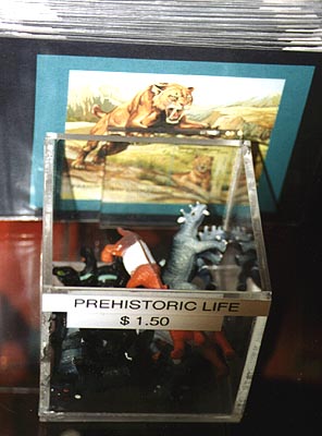 Prehistoric souvenirs